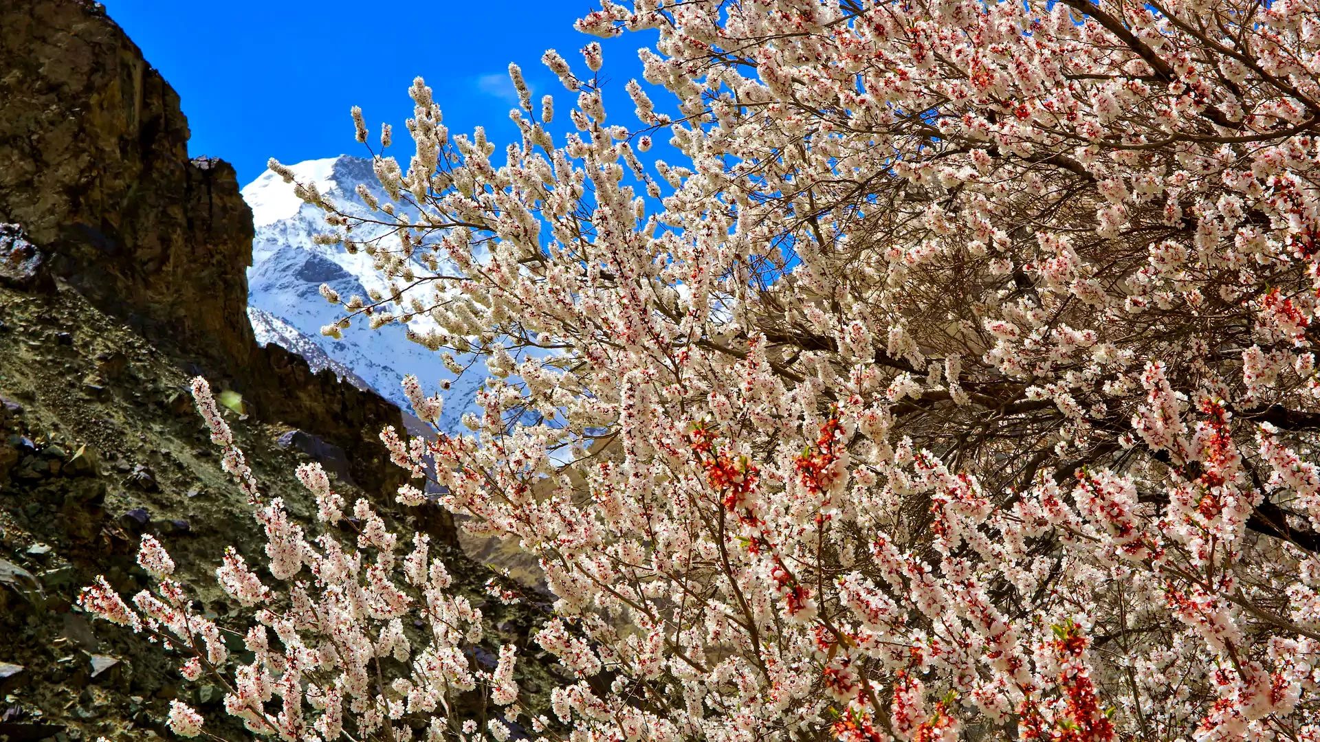 4 Days Hunza Valley by Air Tour