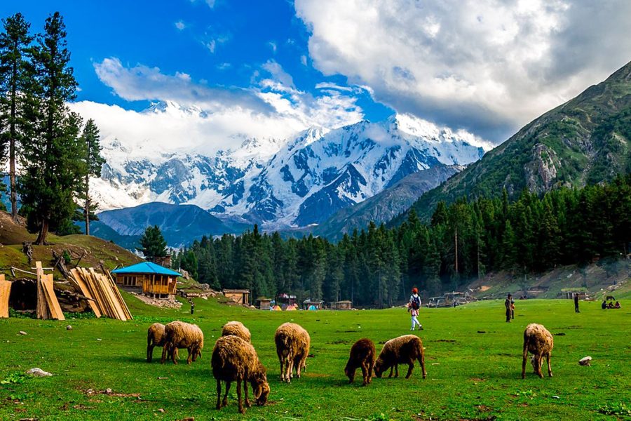 5 Days Fairy Meadows