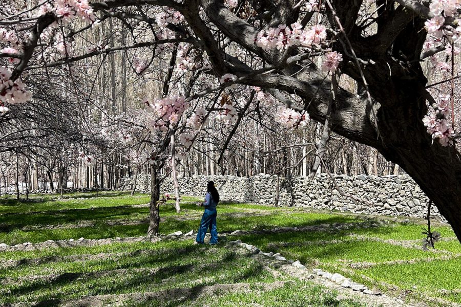 8 Days Hunza Valley by Air Tour